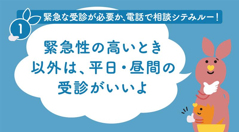 スライドイメージ9